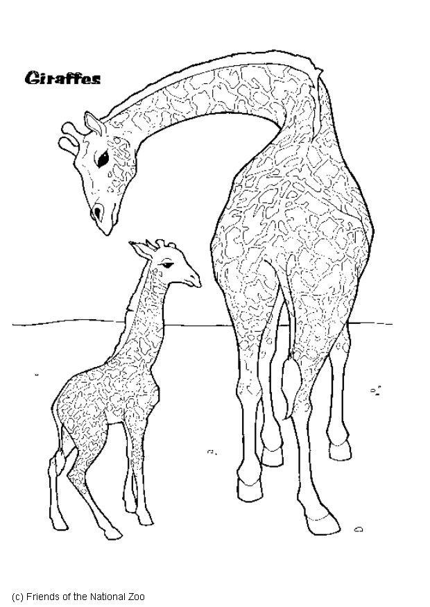 giraff Fargeleggingsbilde giraff