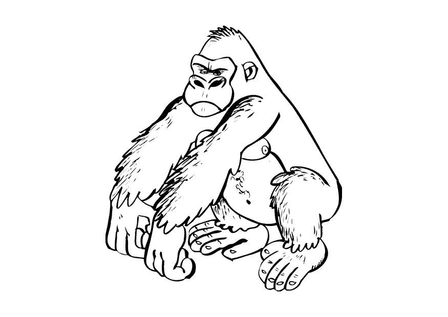 gorilla Fargeleggingsbilde gorilla