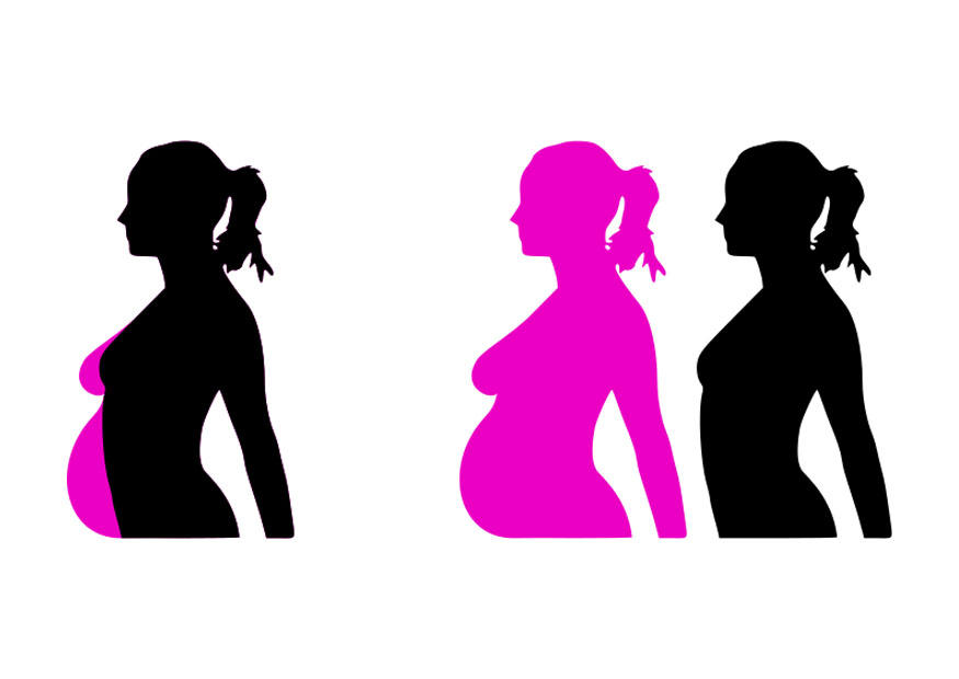 gravid bilde gravid