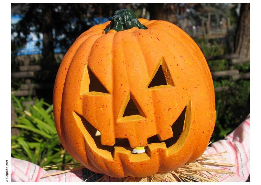 gresskar halloween Foto gresskar halloween