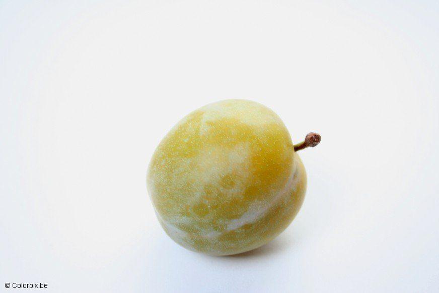 Foto grA¸nne plommer