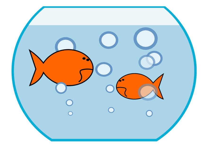 gullfisk bilde gullfisk