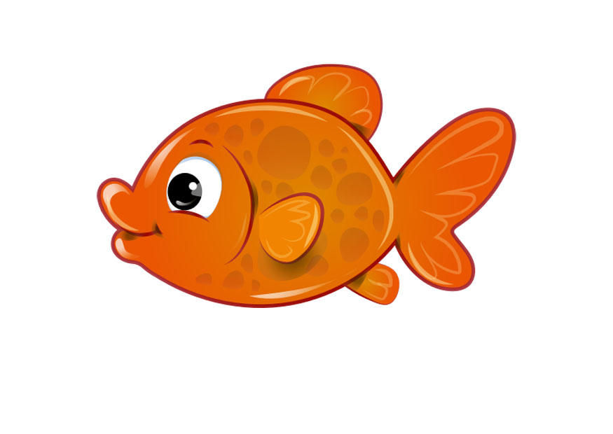 gullfisk bilde gullfisk