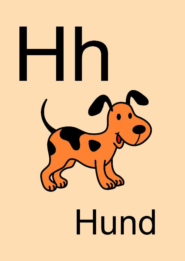 bilde h