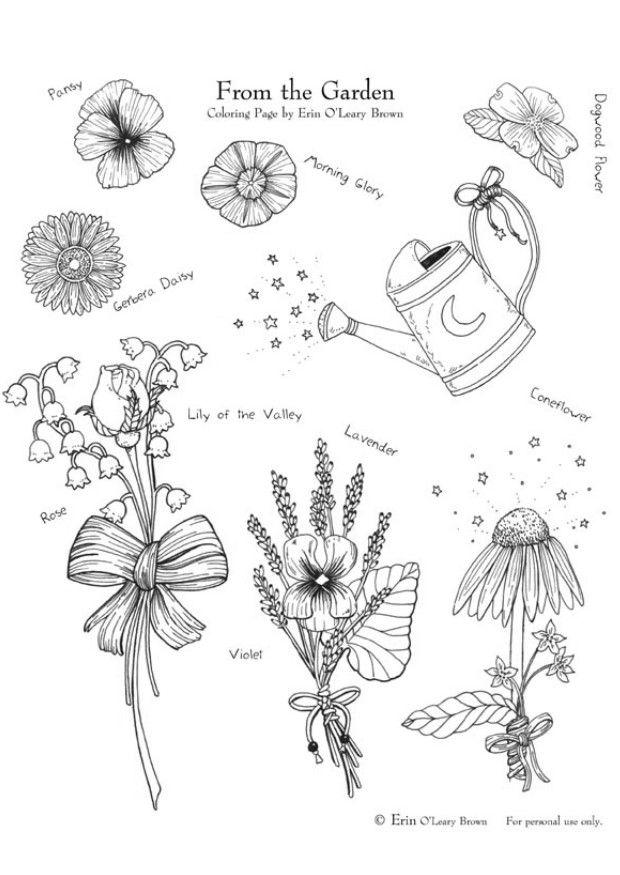 Fargeleggingsbilde hageblomster