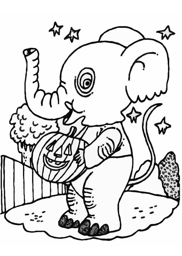 halloween elefant Fargeleggingsbilde halloween elefant