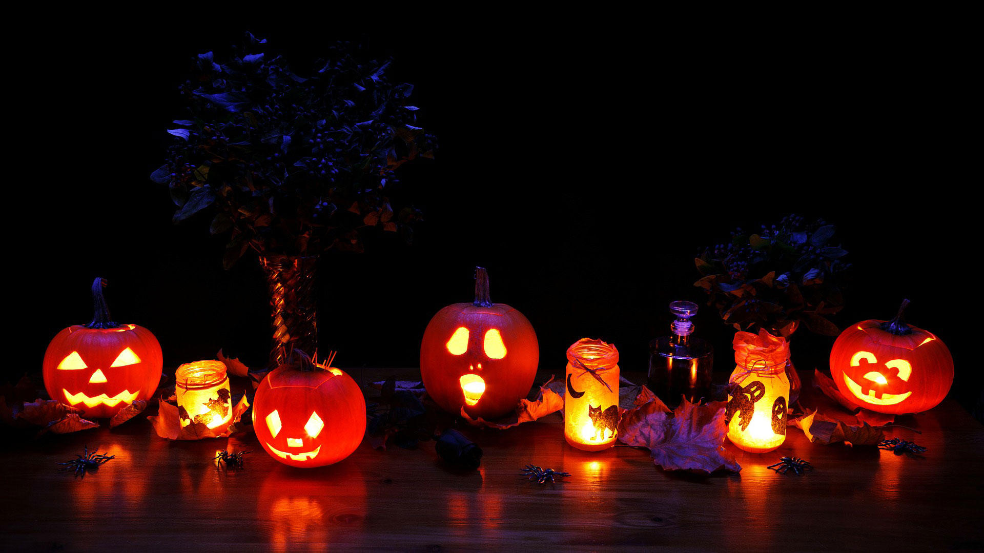 halloween-lys Foto halloween-lys