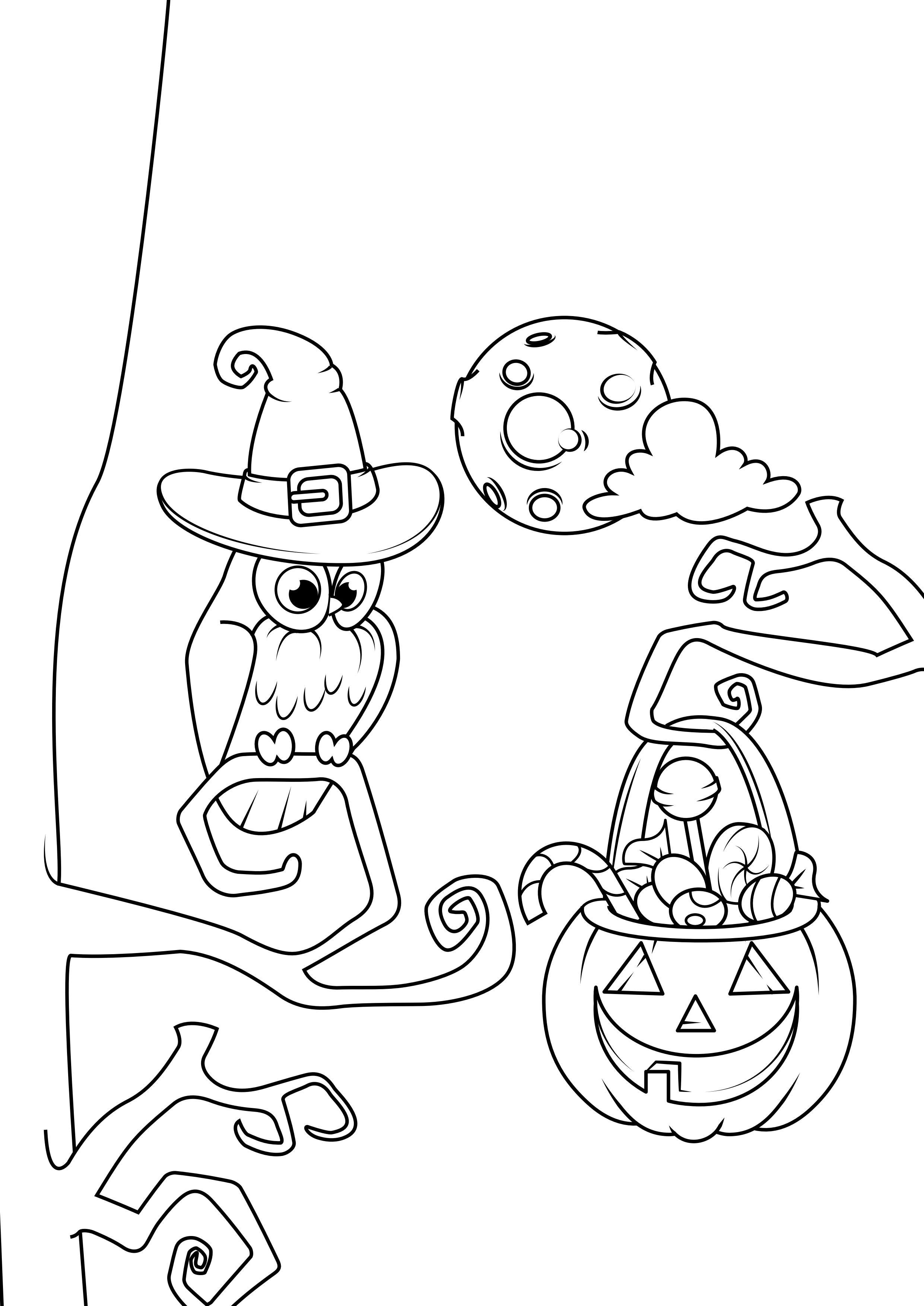 halloween natt Fargeleggingsbilde halloween natt