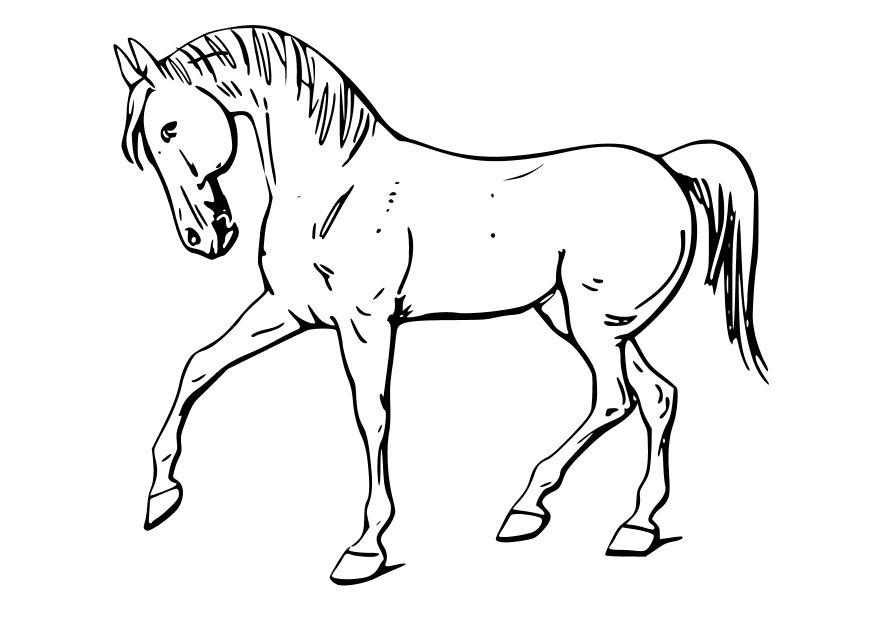 hest Fargeleggingsbilde hest