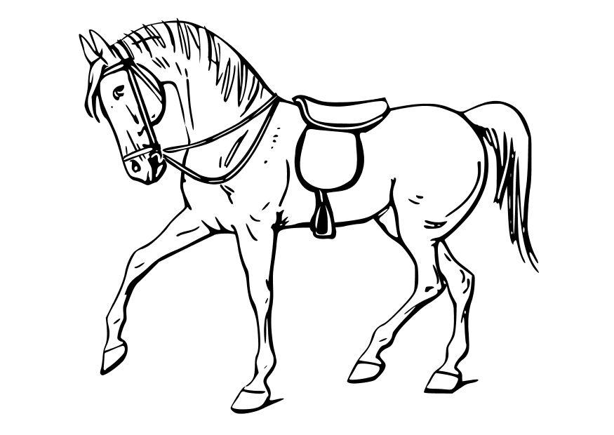 hest Fargeleggingsbilde hest