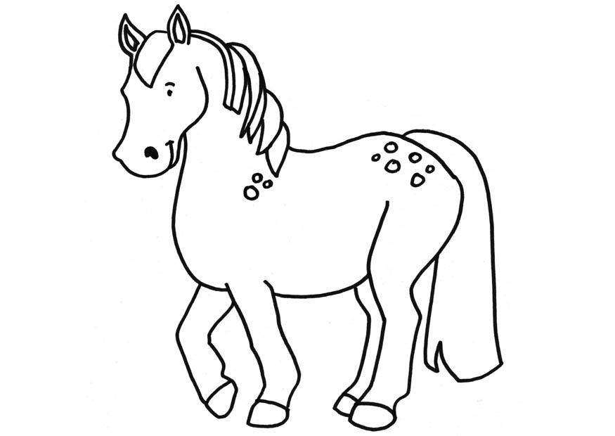 hest Fargeleggingsbilde hest