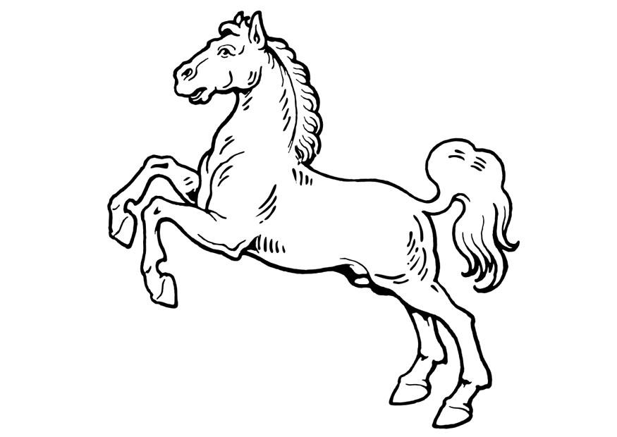 hest Fargeleggingsbilde hest