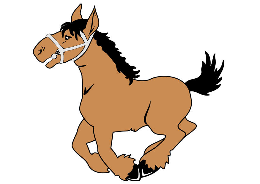 bilde hest