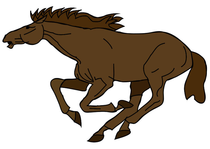 hest bilde hest