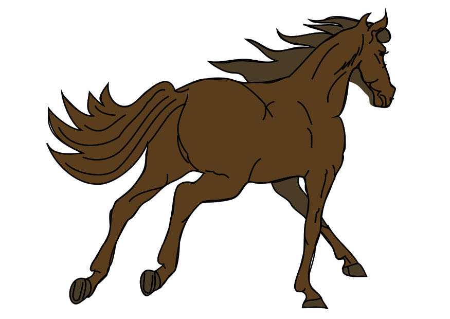 hest bilde hest