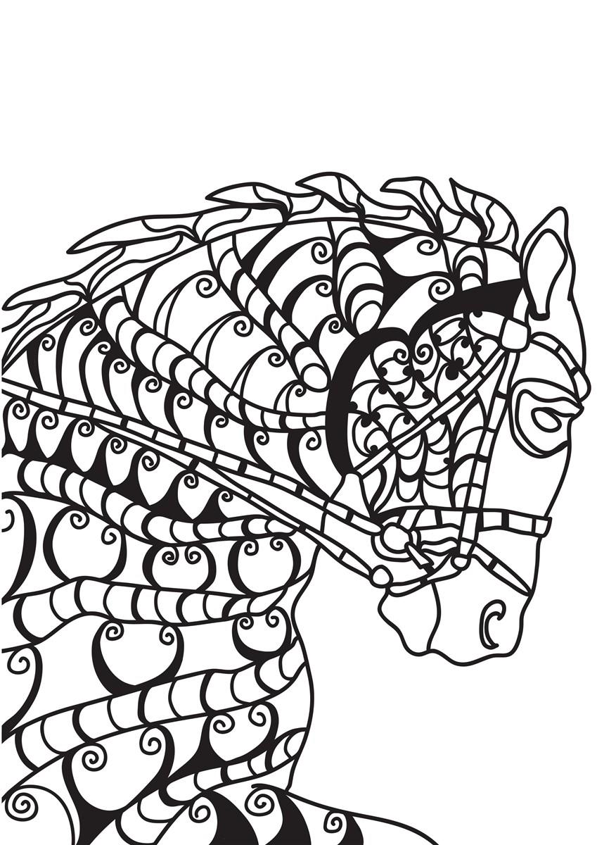 Fargeleggingsbilde hest