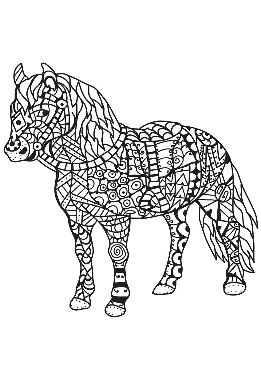 Fargeleggingsbilde hest