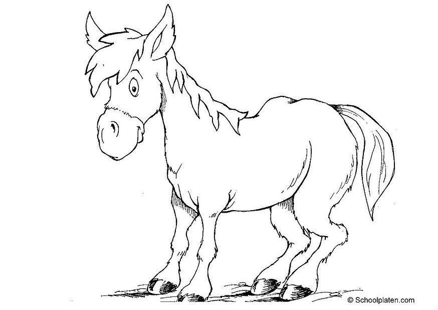hest Fargeleggingsbilde hest