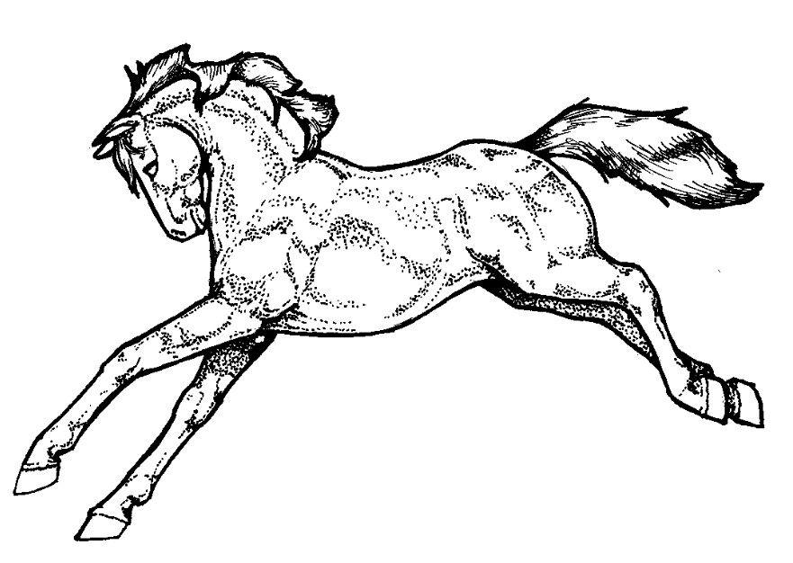 Fargeleggingsbilde hest