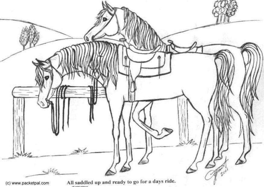 hest med sal Fargeleggingsbilde hest med sal