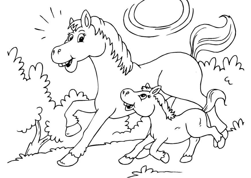 hest og fA¸ll Fargeleggingsbilde hest og fA¸ll