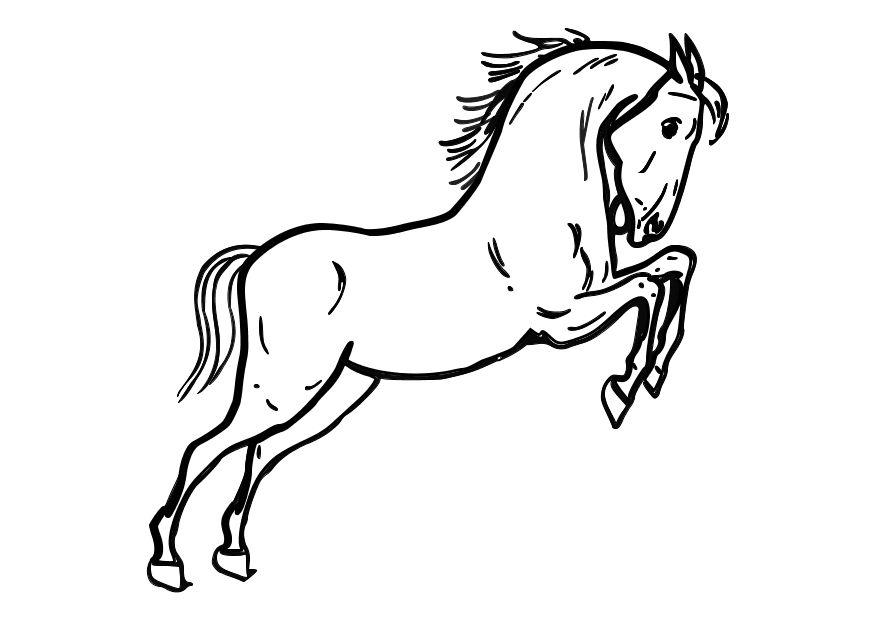 Fargeleggingsbilde hest som hopper