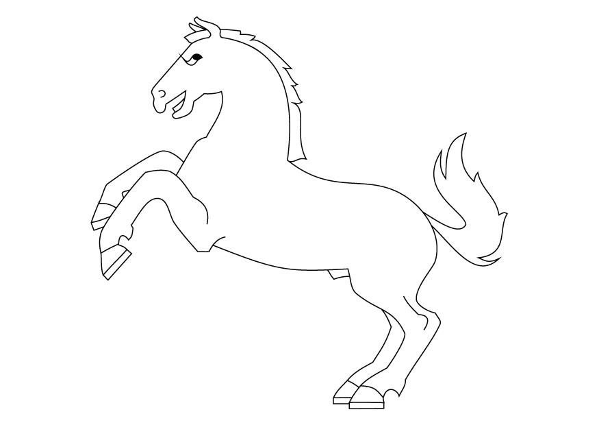 hest som steiler Fargeleggingsbilde hest som steiler