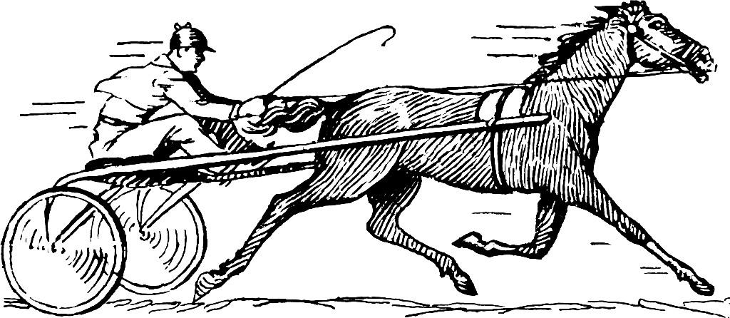 Fargeleggingsbilde hestelA¸p