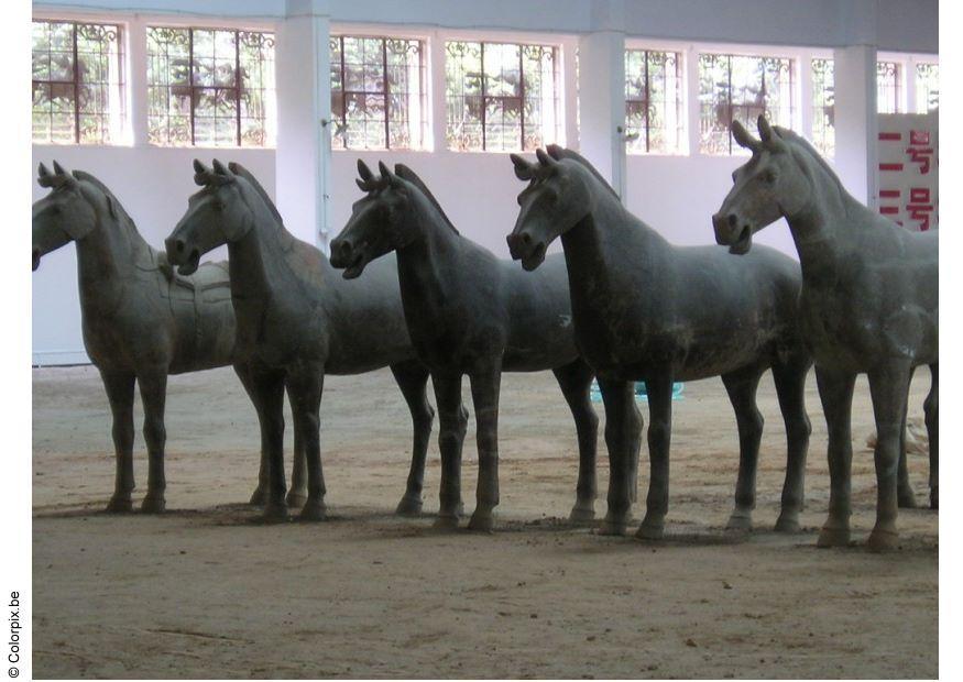 hestestatuer, xian Foto hestestatuer, xian