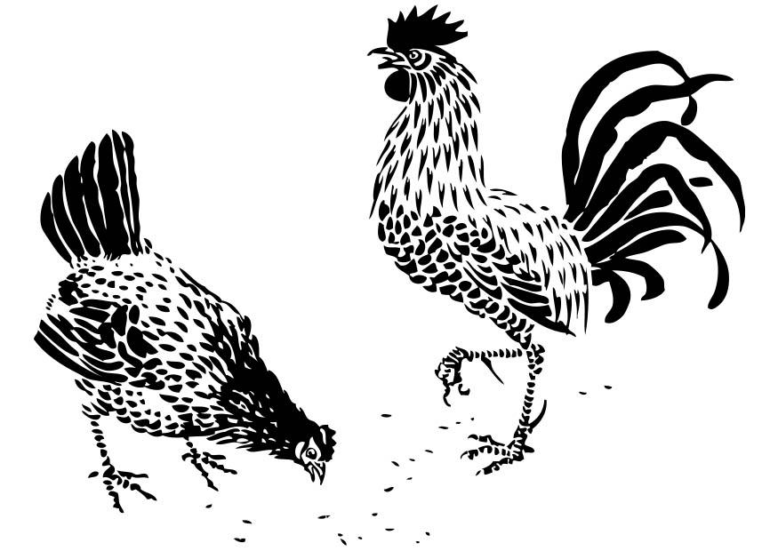 Fargeleggingsbilde hA¸ne og hane
