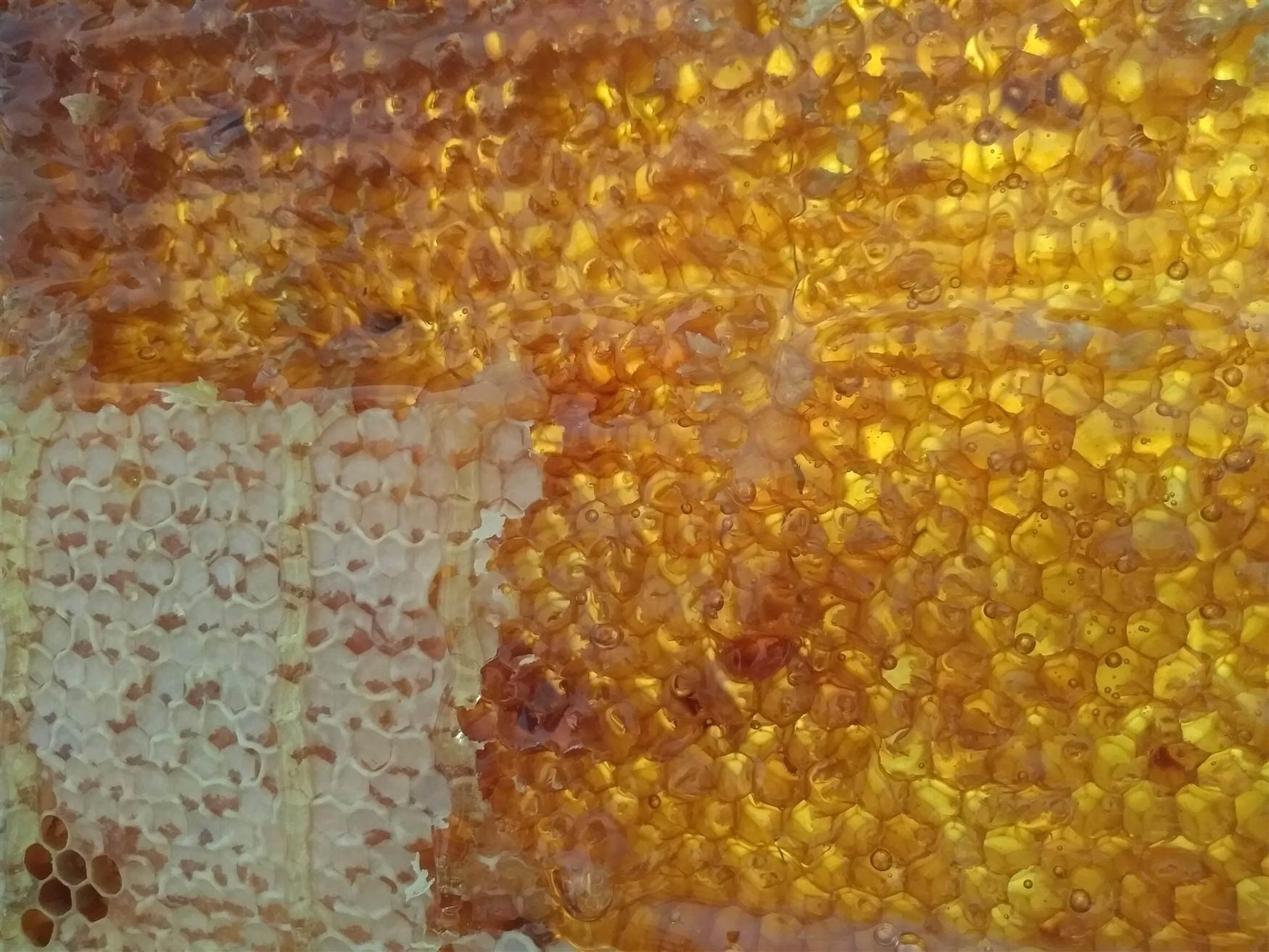 Foto honeycomb