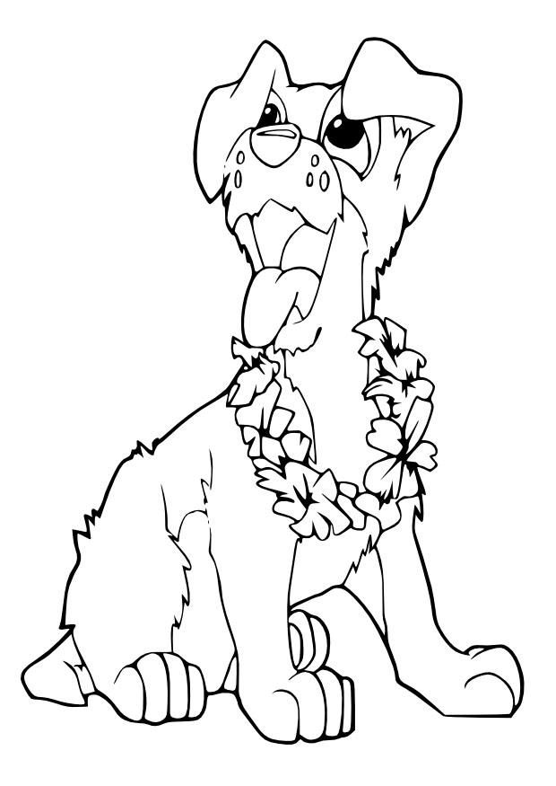 hund Fargeleggingsbilde hund