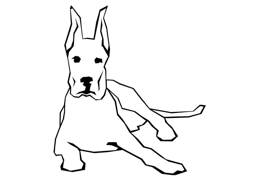 hund Fargeleggingsbilde hund