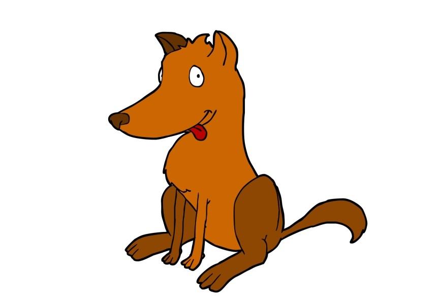hund bilde hund