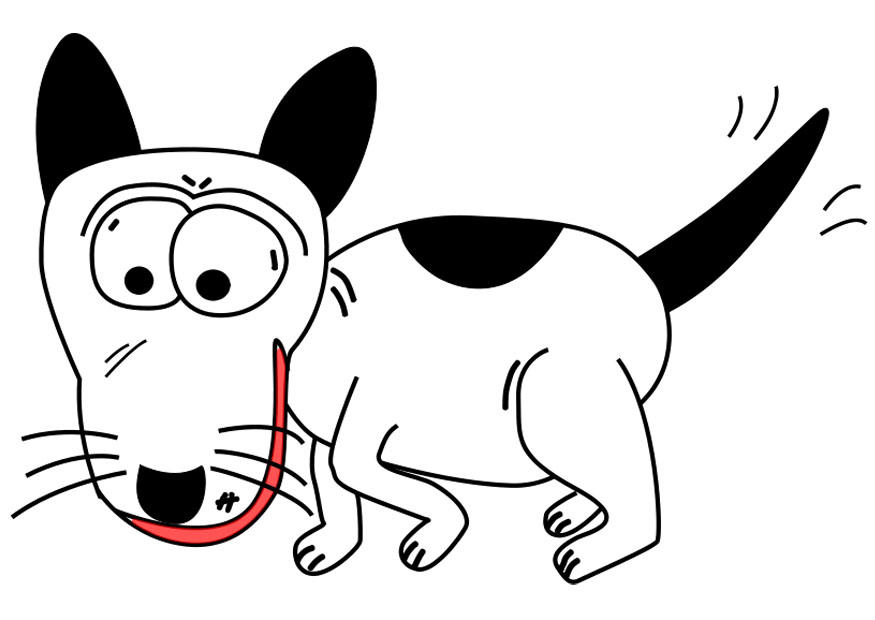 hund bilde hund