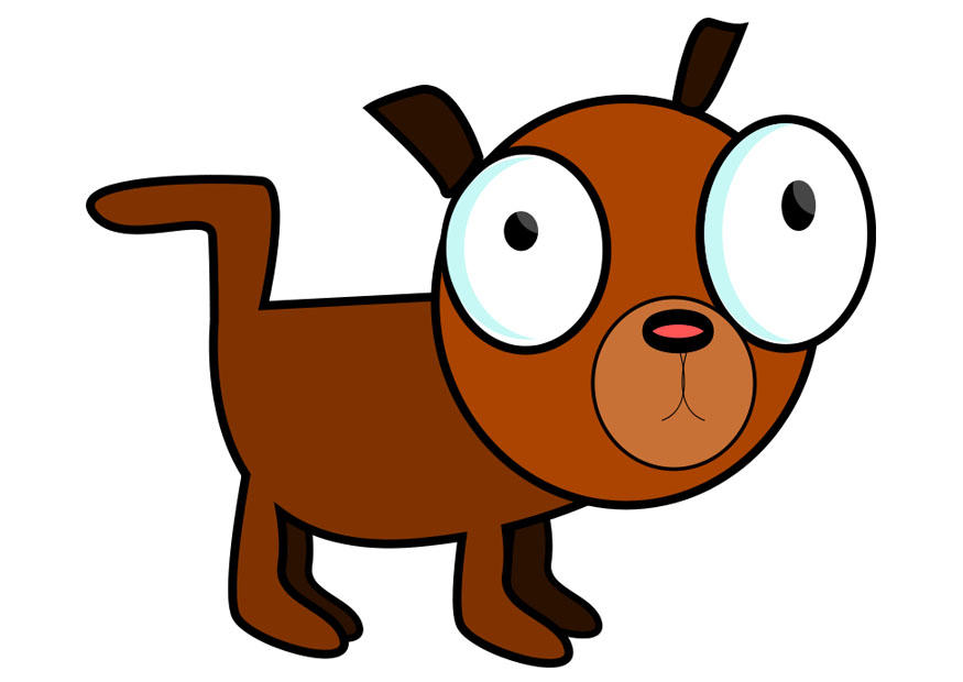 hund bilde hund