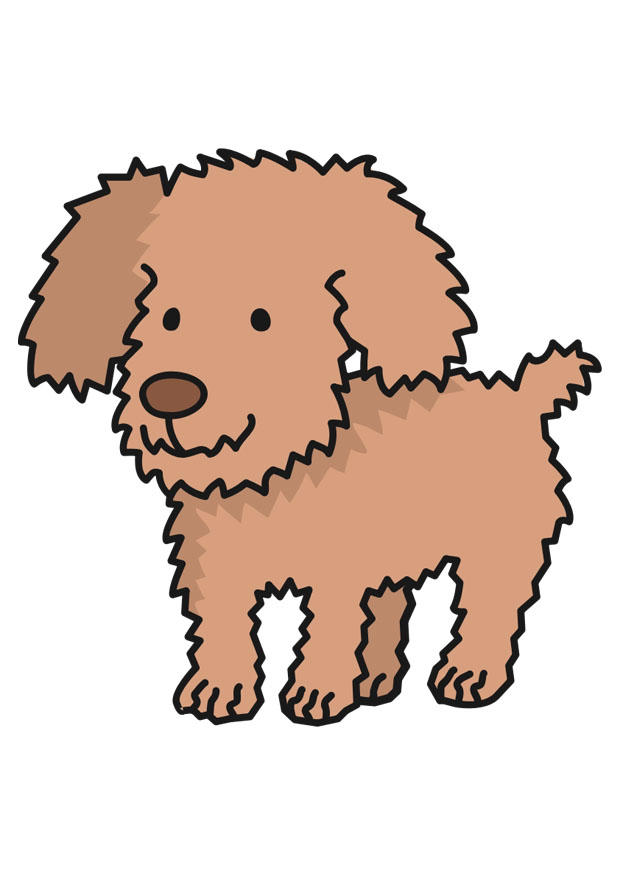 hund bilde hund