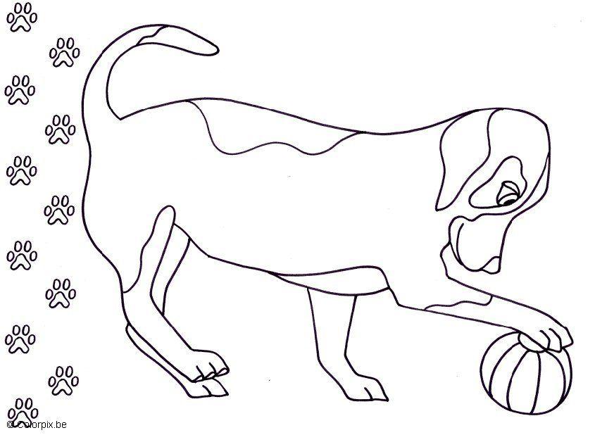 Fargeleggingsbilde hund