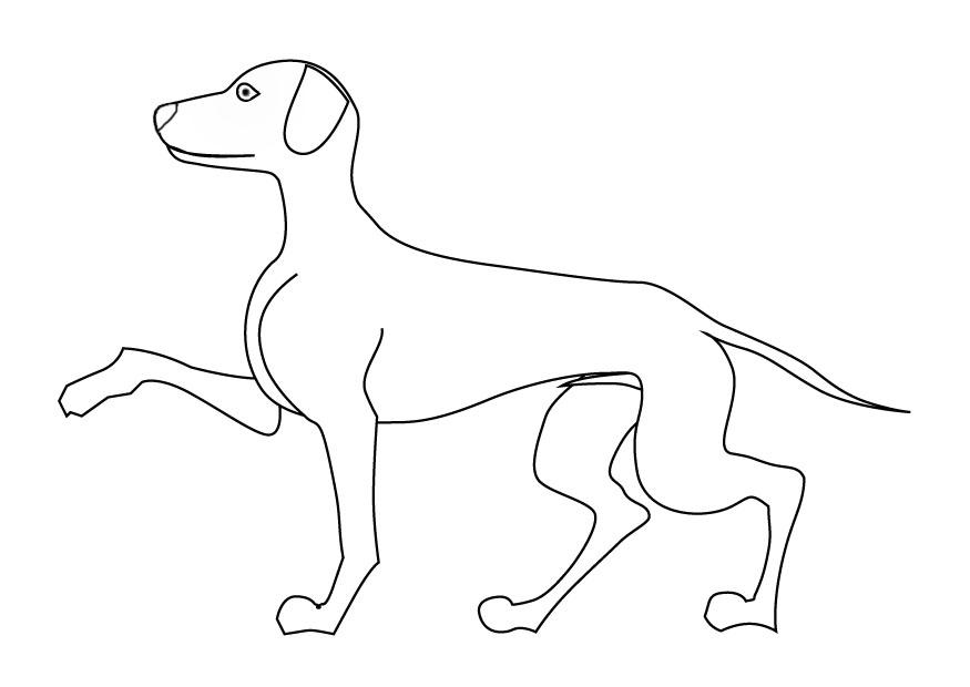 hund Fargeleggingsbilde hund