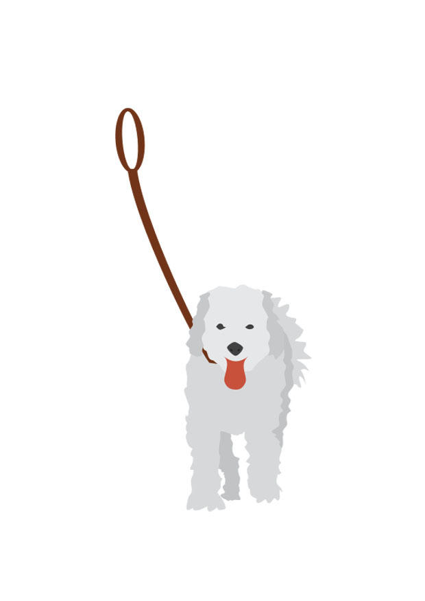 hund pA¥ bA¥nd bilde hund pA¥ bA¥nd