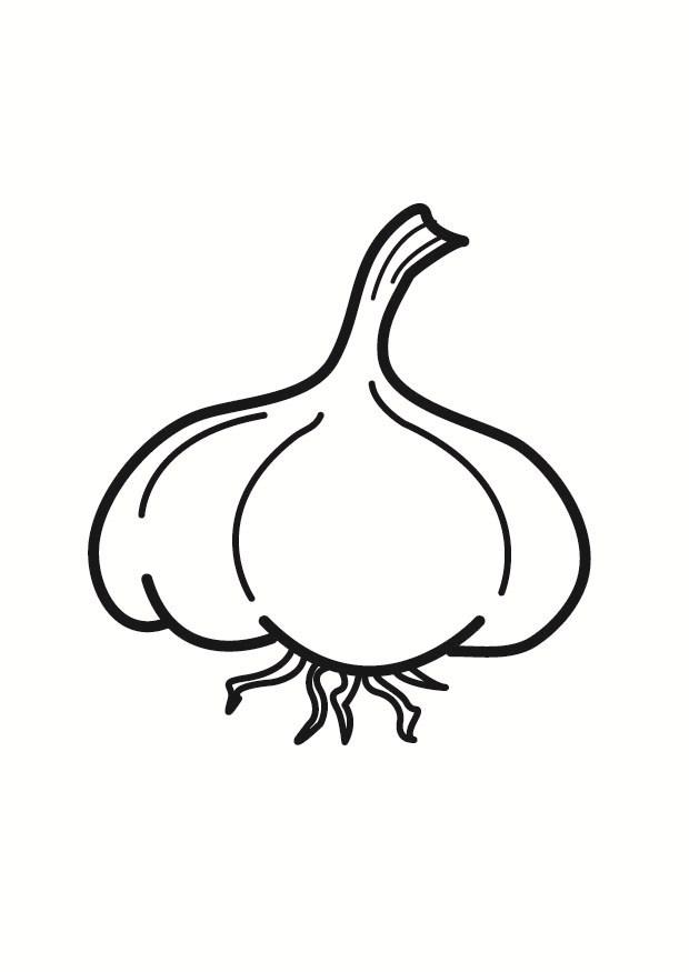 Fargeleggingsbilde hvitlA¸k