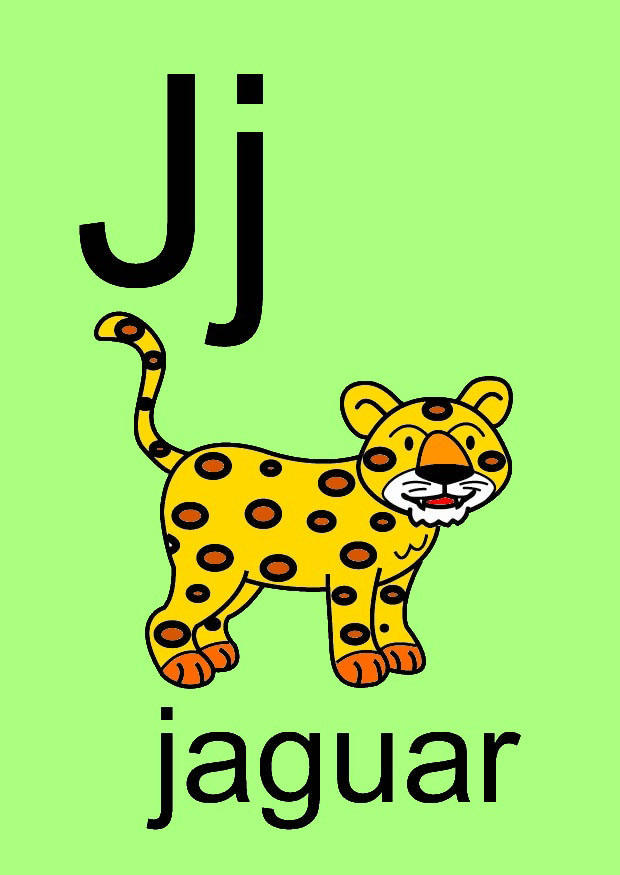 bilde j