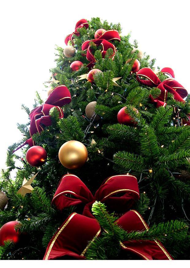 Foto juletre