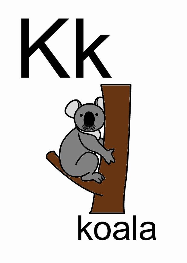 k bilde k