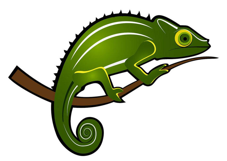 kameleon bilde kameleon