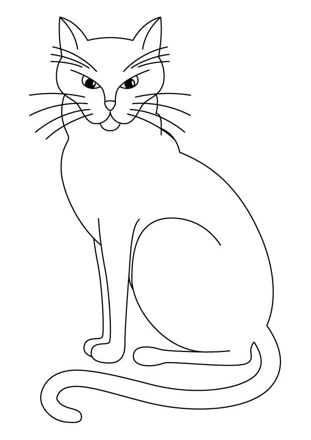 katt Fargeleggingsbilde katt