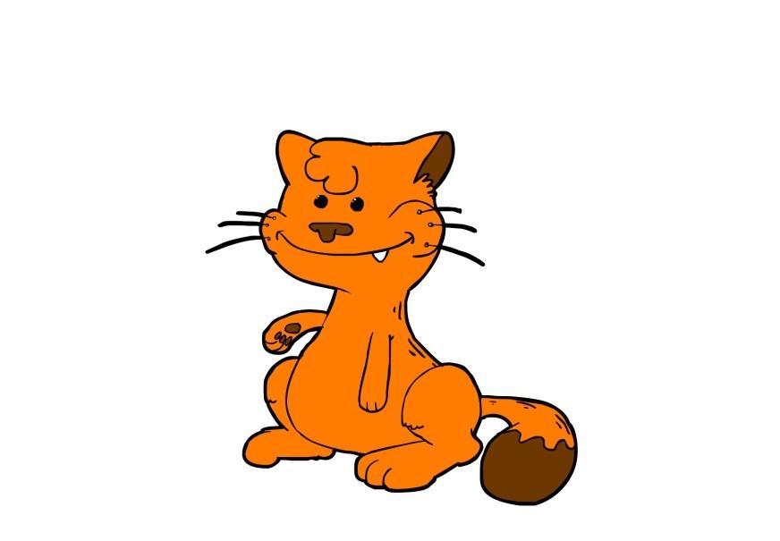 katt bilde katt