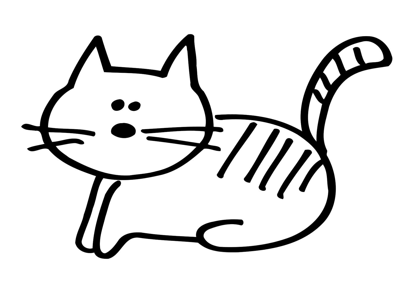 katt Fargeleggingsbilde katt
