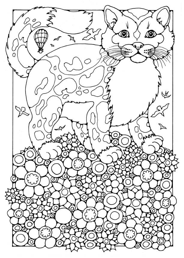 Fargeleggingsbilde katt