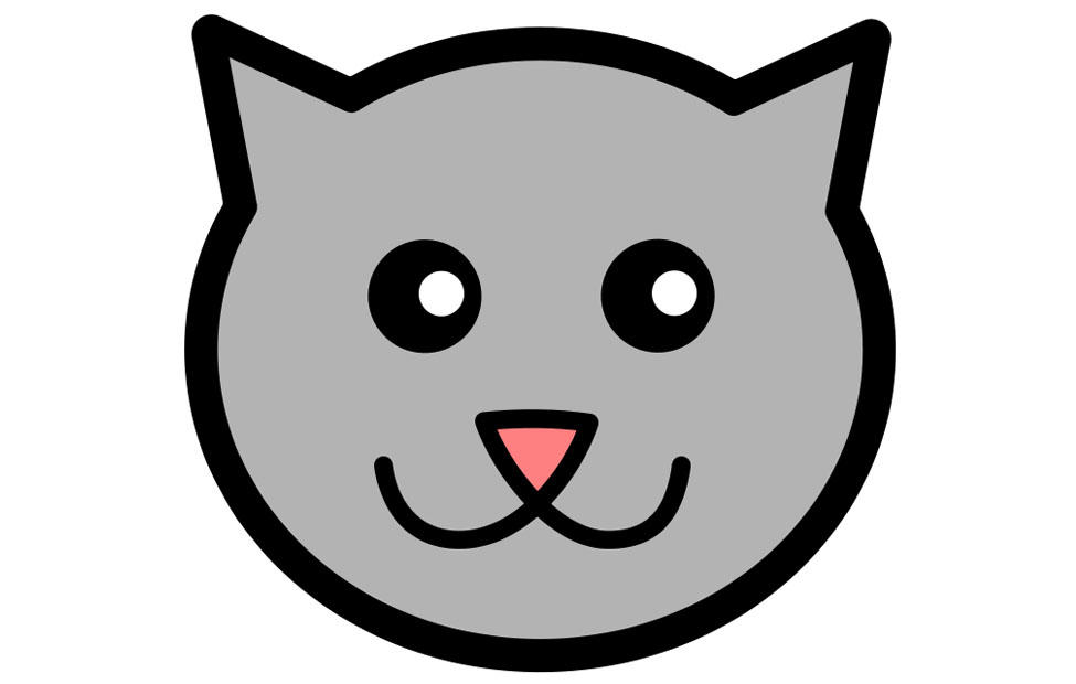katt bilde katt